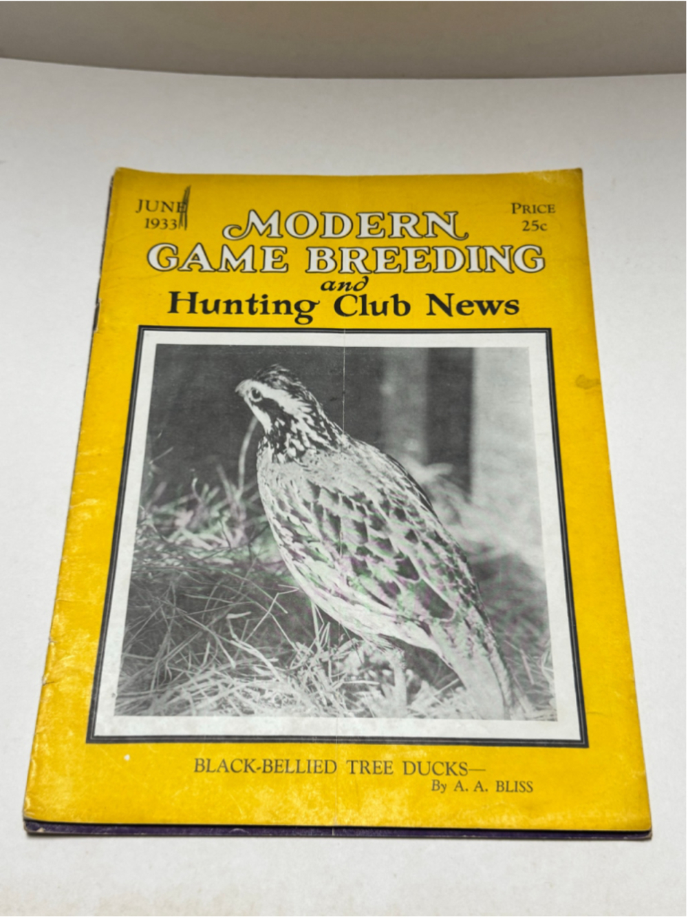 1933 Vintage Modern Game Breeding and Hunting Club News Magazine June Tree Ducks